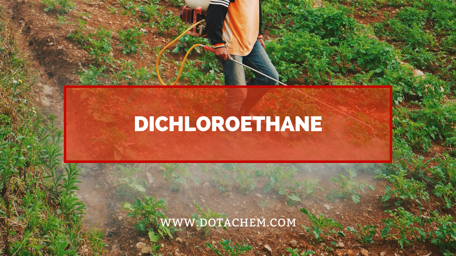 Buka kunci penyelesaian perindustrian yang sangat cekap untuk dichloroethane dalam pelbagai aplikasi